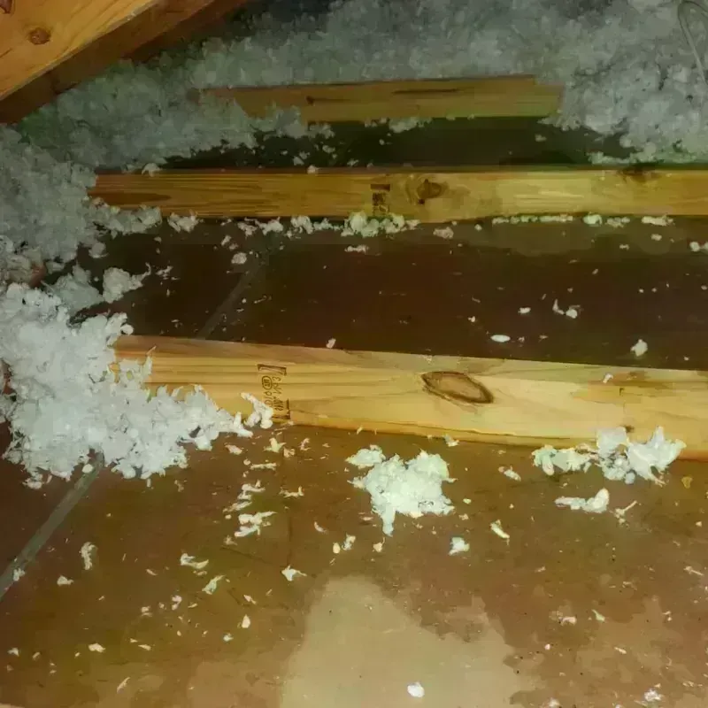 Attic Water Damage in Colebrook, NH